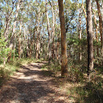 Track to Colin Watters Lookout near the tower (234401)