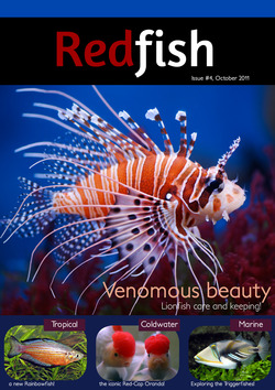 redfish 4