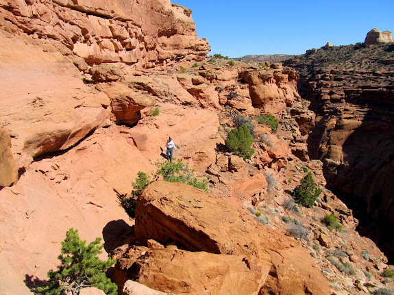 Millard Canyon Trail