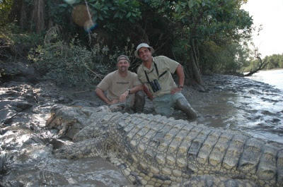 Questões e Fatos sobre Crocodilianos gigantes: Transferência de debate da comunidade Conflitos Selvagens.  - Página 2 Croc_lead_400