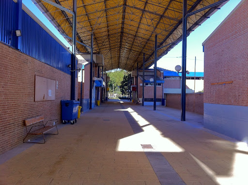 Real Colegio de las Escuelas Pías de San Fernando (PP. Escolapios)