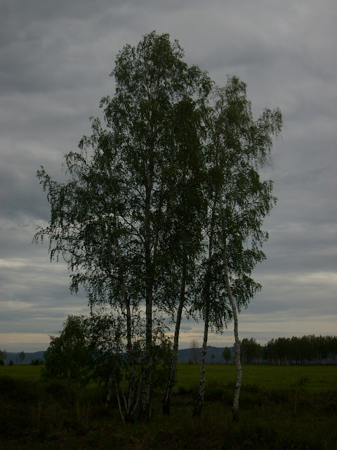 Image/photo