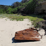 Some rubbish on Snapper Point beach (247798)