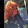 Sharon Bakley Sharon Bakley's profile photo