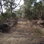 Near the bottom of Stringybark ridge (153433)