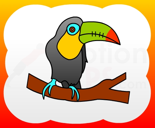 How to draw Toucan for kids