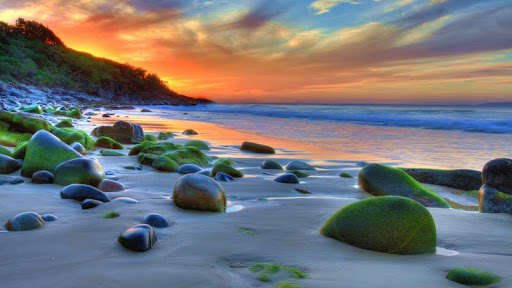 Granite Bay, Noosa National Park, Sunshine Coast, Queensland, Australia.jpg