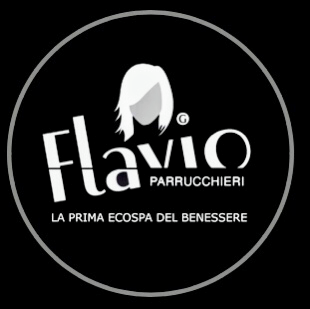 Flavio Parrucchieri la Prima EcoSpa Del Benessere logo