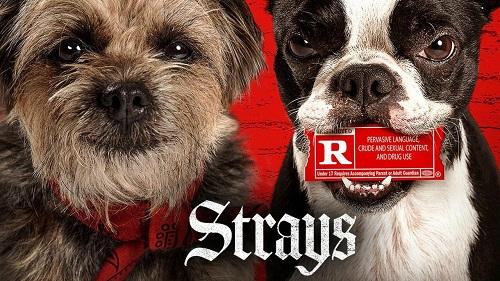 بررسی انیمیشن Strays 2023