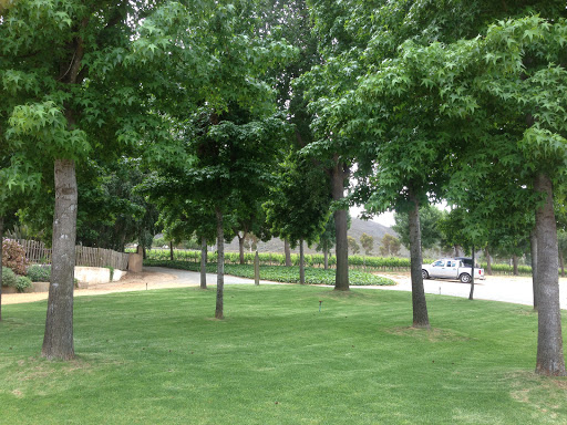 Joubert Tradauw Wine Farm