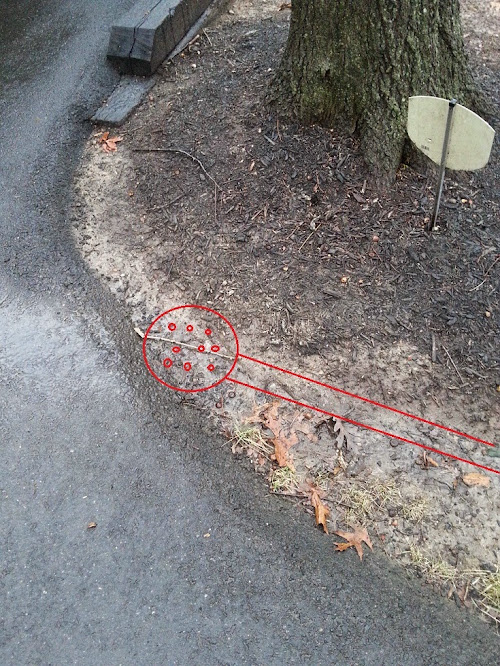 yarddrain6.jpg