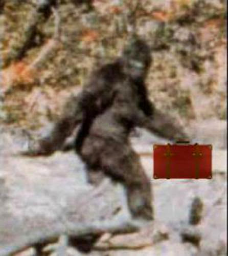 The Displacement Of Bigfoot