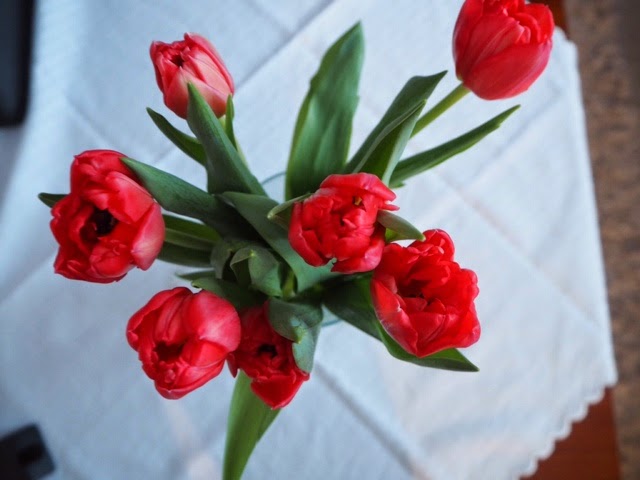 tulips, red, punainen, tulppaanit, kukat, kevät, spring, vase, maljakko