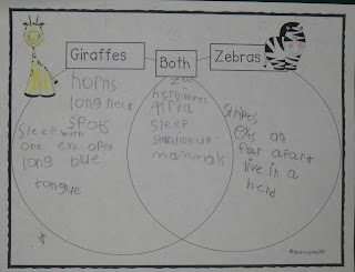 Giraffes and Zebras: Zoo Part 2