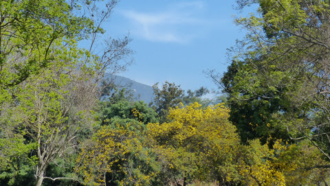 Cover photo