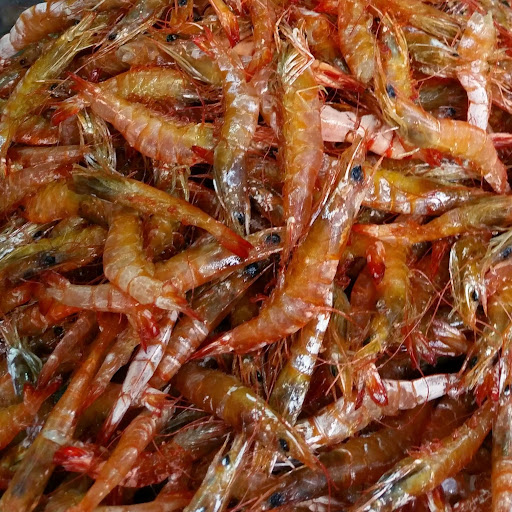 Thailand close up - sweet shrimp in the market