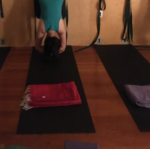Tree of Life Yoga and Spine Therapy