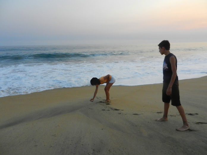 Turtle release, Playa Delfin