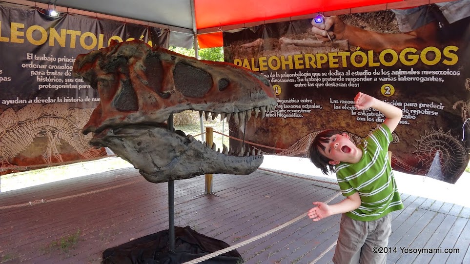 Visita el Jardín Prehistórico de los Dinosaurios en Caguas | Yosoymami.com