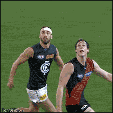 12.18_Funny_Gifs_2.gif