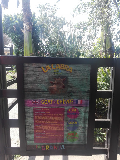 Restaurante El Tambor Multiparque