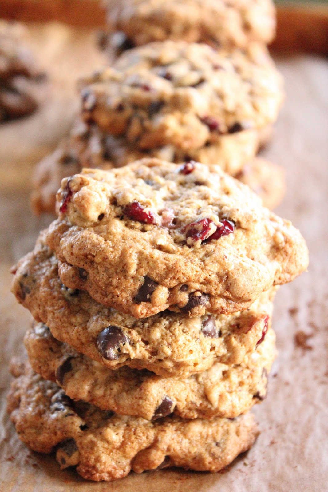 Chocolate Chip Cranberry Flax Cookies - Eat Good 4 Life