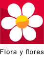 Flora y flores
