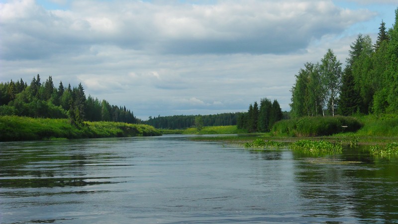 Сплав по реке Емца 30.06 – 07.07.2012 (MWS) Emca157