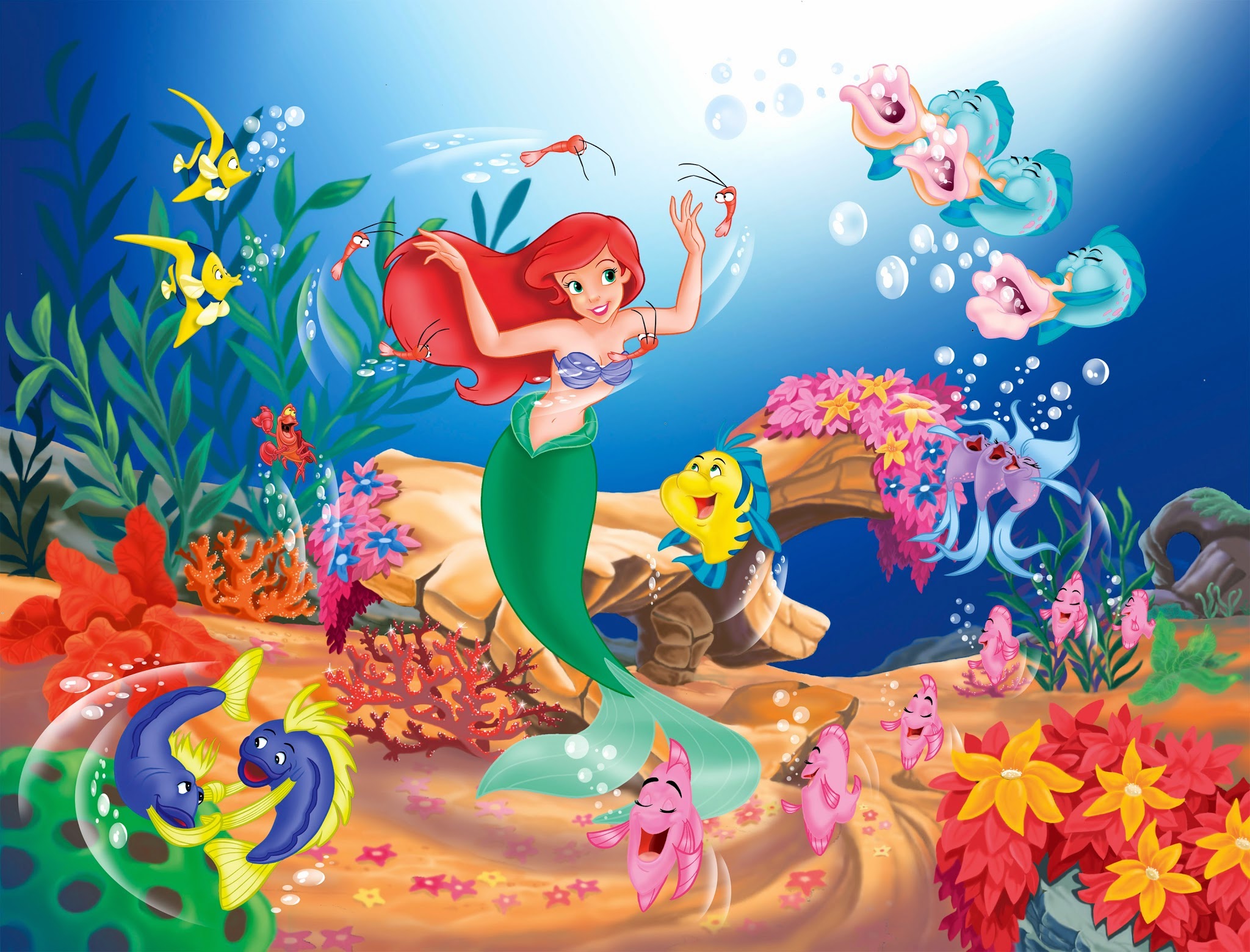 ariel-(6)