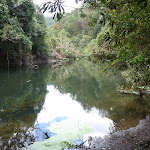 Berowra Creek near Provest Creek (328628)