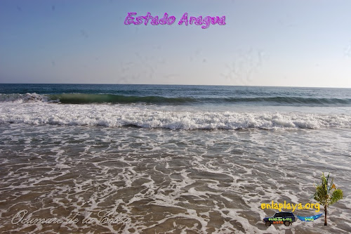 Playa La punta, Sector Ocumare de la Costa, Estado Aragua