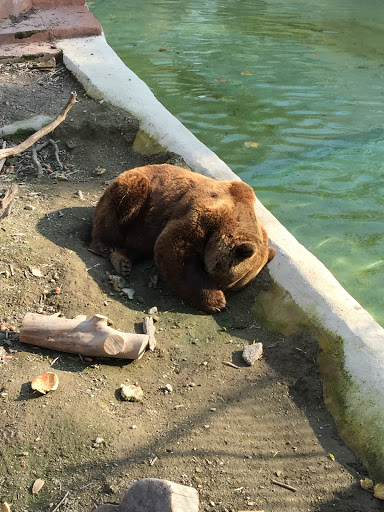 Naples Zoo