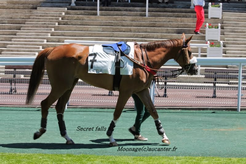 Photos Auteuil le 21-06-2014 IMG_2245