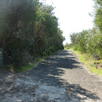 management trail near henry head (309572)
