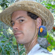 Andrew Stockham's user avatar
