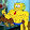 sam ruane sam ruane's profile photo