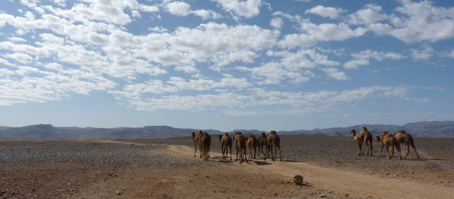 Ruta de las mil kasbahs con niños - Blogs de Marruecos - 09 De Tinerhir a Merzouga (2)