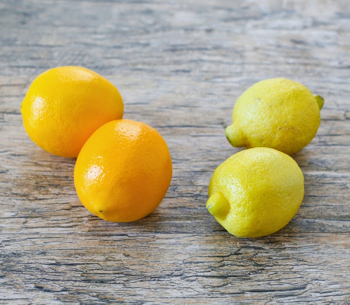 photo of two regular lemons and two meyer lemons