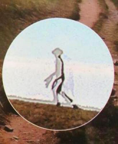 Taiwan Police Officer Captures Image Of Supposed Alien Being