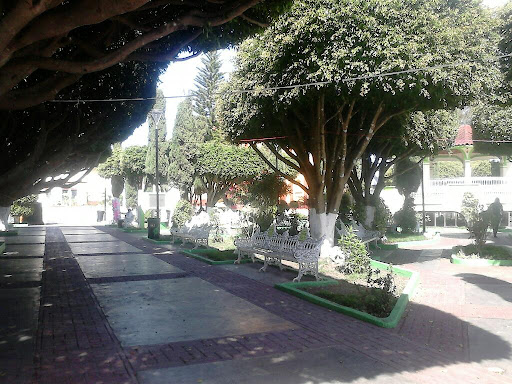 Presidencia Municipal, Central Sn, Cabecera Municipal, 30160 La Trinitaria, Chis., México, Oficina de gobierno local | CHIS