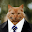 El Gato Curioso's user avatar