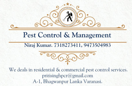 Cockroach Control Service, DLW, Varanasi, varanasi, Uttar Pradesh 221004, India, Pest_Control_Service, state UP