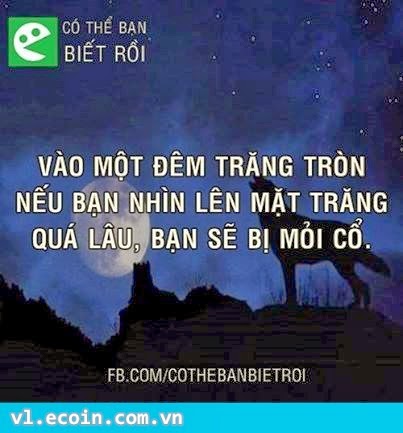 Có thể bạn thừa biết :v