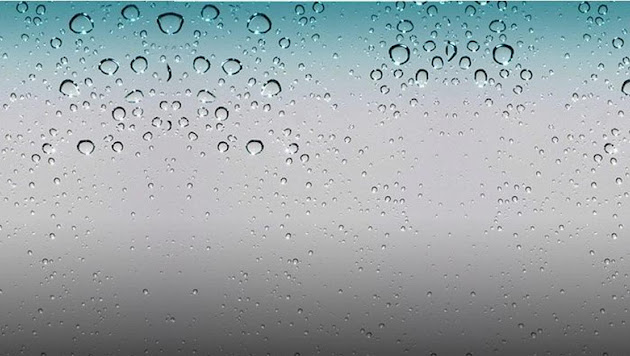 Cover photo