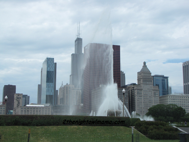 Cover photo