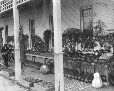 Submitted by Reedley Historical Society