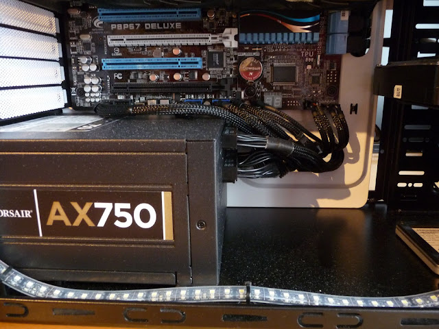 P1020319.JPG