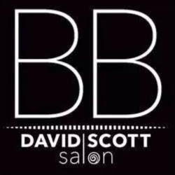 Beauty Bar David Scott Salon logo