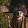 West Ramsey West Ramsey's profile photo