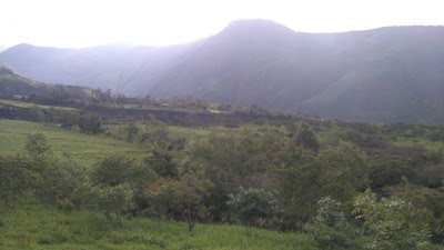 Photos of La Roma